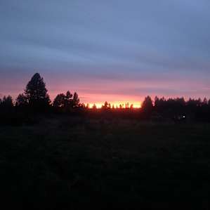 Hidden Acres Orchards
