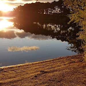 Sunrise over the pond