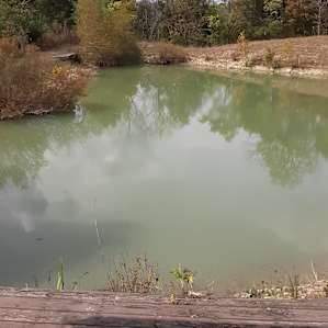 The pond out back very beautiful