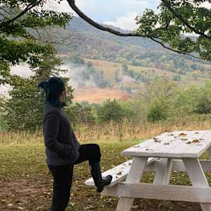View by the bench