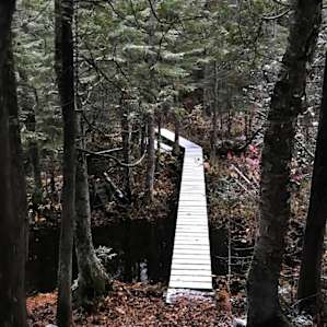 Be sure to ask about the paths through the woods. Perfect for a crisp morning walk in the falling snow.