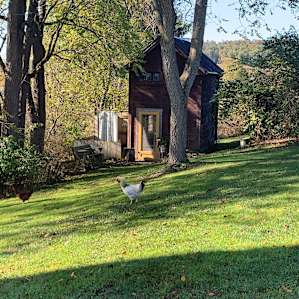 Glamping at the Honey Farm