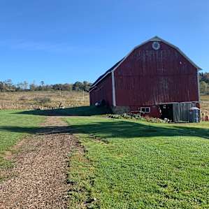 Glamping at the Honey Farm