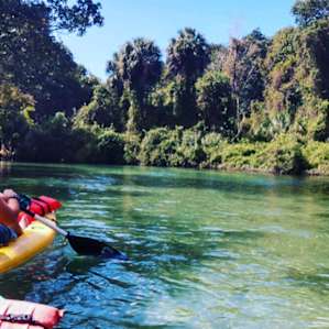 Weeki wachee kayak trip on Sunday