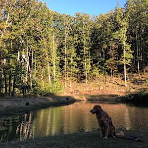 Cacapon Hideaway