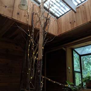 Bedroom light and garden window.