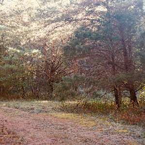 Beautiful trails to walk