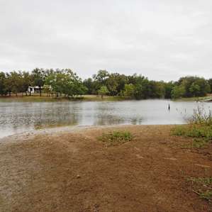 The pond.