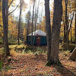 Beautiful fall colors