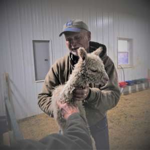 Owner with a baby.