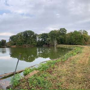 Walk down to the river from the campsite