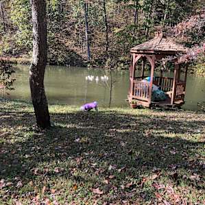 Christine's HideAway