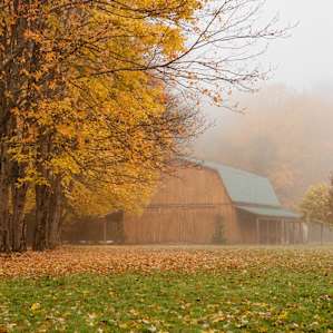 The main barn on the property, surrounded by New York's finest fall colors.