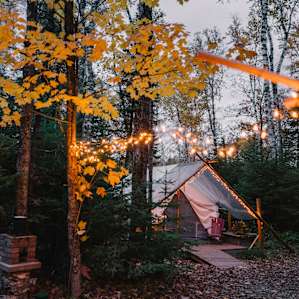 Such a cozy, magical space.