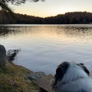 Fishing on Sterling Pond.