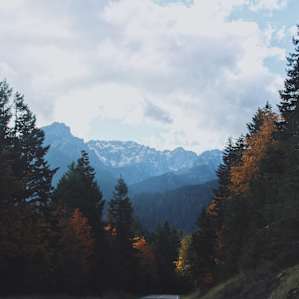 The road to Hurricane Ridge