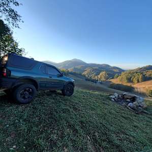 Pasture Paradise