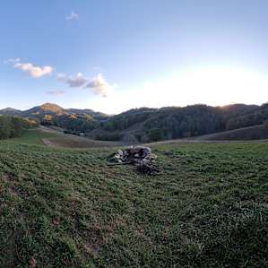 Pasture Paradise