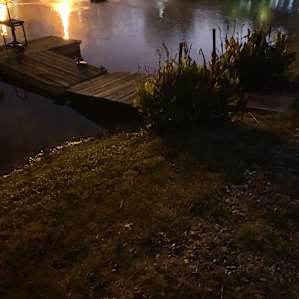 Tree House on the Pond