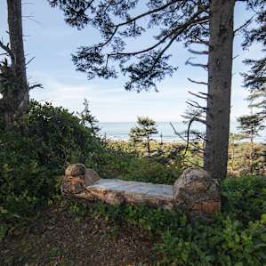 'Hipcamp Site #2' has this beautiful carved bench. A perfect place to enjoy a cup of tea.