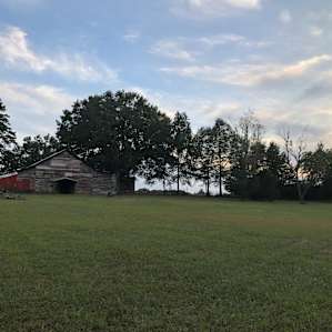 Barnyard Camping with Full Kitchen!
