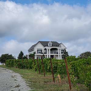Tara Winery Vines & Views