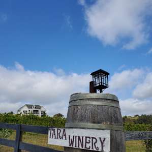 Tara Winery Vines & Views