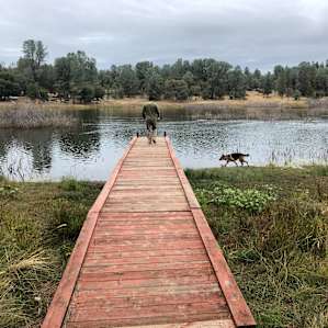 Waterfront at Finnon Lake - A11