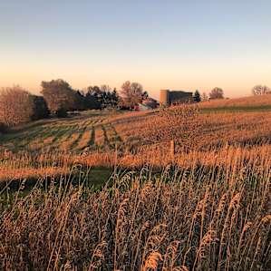 A view down the hill of the winery.