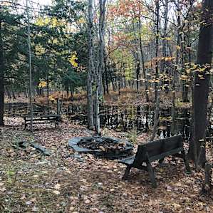 The fire pit behind the caboose