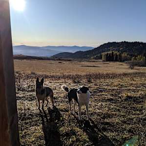 Toby Mill Cabin