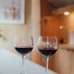 The host was so sweet and greeted us with a glass of wine from a local winery, Casa Barranca.