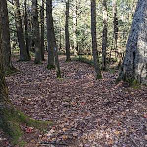 This is the path that leads towards the road/entrance.