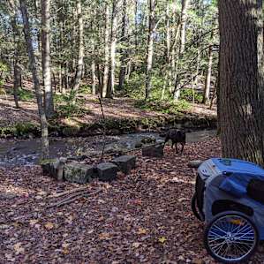 Campsite showing the fire pit next to the brook.