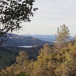 View from the top of the hill.