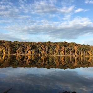 Spring Lake Ranch Fall Foliage