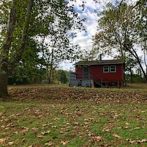 Cabin Camping at Carp Cove Farm