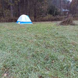 Nice open space. Easy access for novice campers.