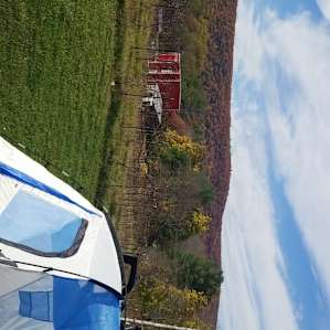Vistas & Vines
