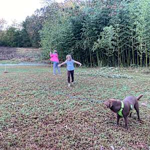 Playing in the field