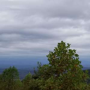Heart-stopping view from very nearby Pores Knob - our hosts enlightened us to this gorgeous view.