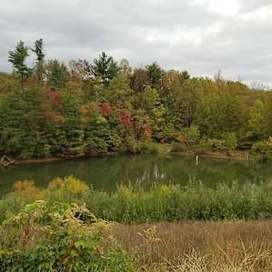 Pond near apple orchard at the top of Pores knob.