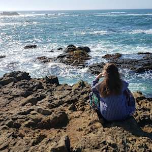 The beach in nearby fort bragg