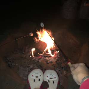 Spirit Walk Retreat - Campsite