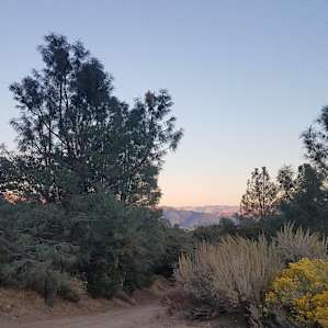 View from parkinglot