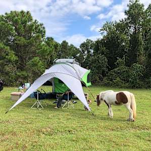 Tent Camping on 200 Acre Horse Farm