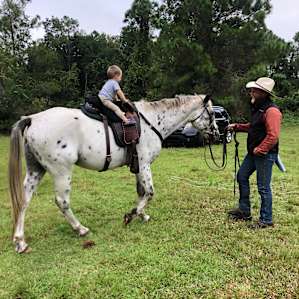 Tent Camping on 200 Acre Horse Farm