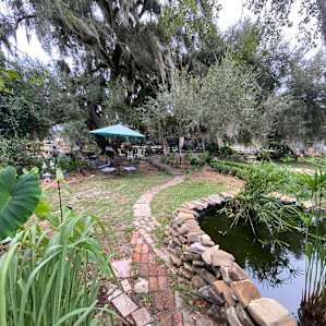 Glamping Under the Spanish Oaks