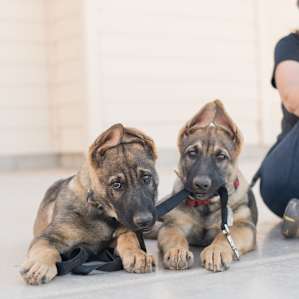 Such cute little faces