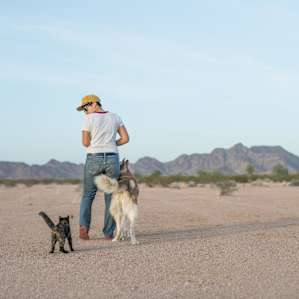Alone in the desert, until...